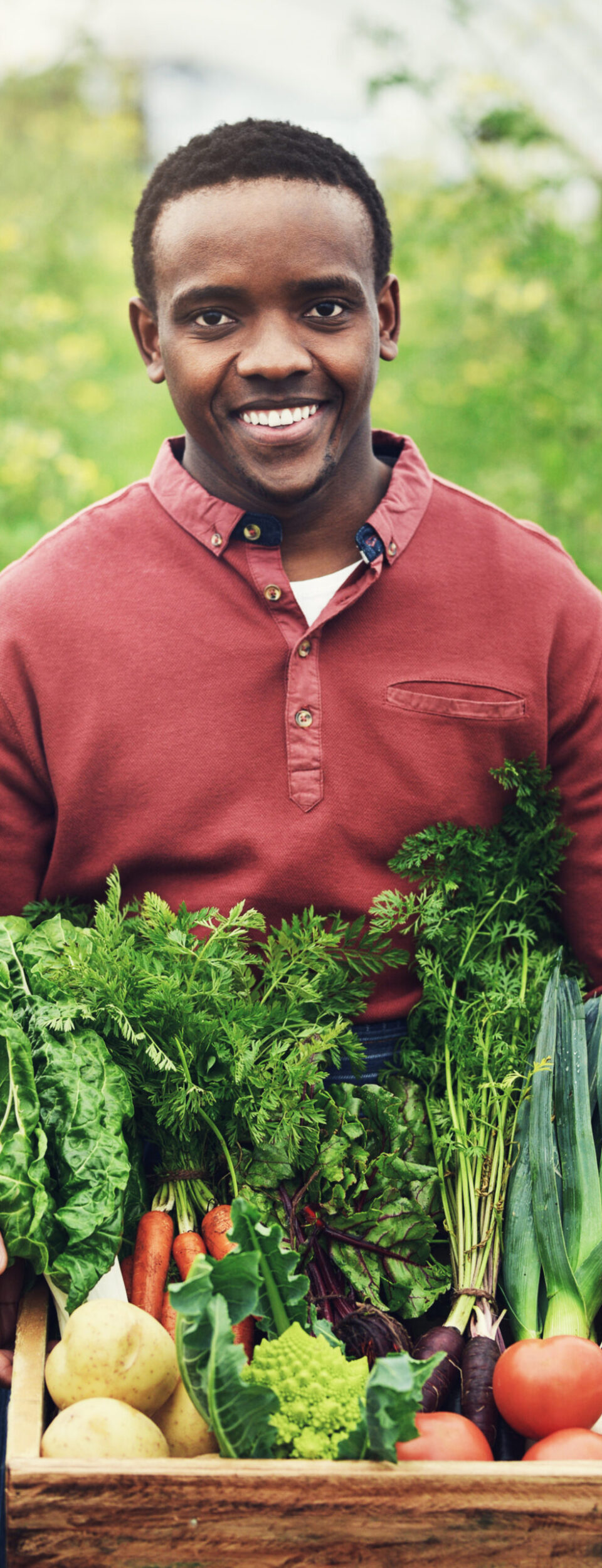 Greenhouse, portrait and black man with vegetables in basket for sustainable, gardening and production. Worker, smile and create with agriculture for eco friendly, cultivation and organic harvest.