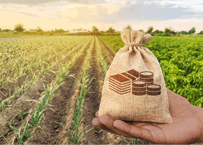 1744154352_10-idees-de-business-rentables-dans-lagrobusiness-pour-les-jeunes-entrepreneurs